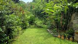 Jalan Anak Bukit (D21), Detached #560872221